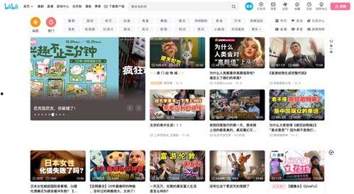 最新国产网站,创新驱动,引领行业未来