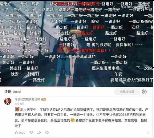 b站娱乐圈吃瓜,b站吃瓜指南,揭秘明星幕后故事