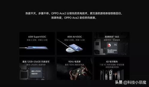 国产福利视频网