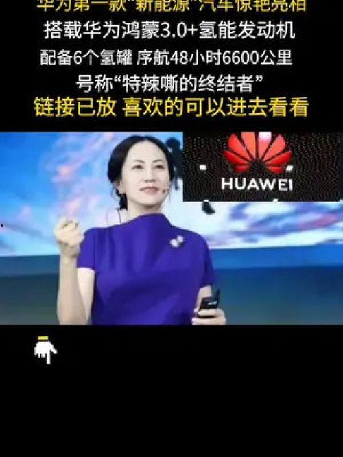 国产你懂,揭秘国产你懂背后的创新与实力