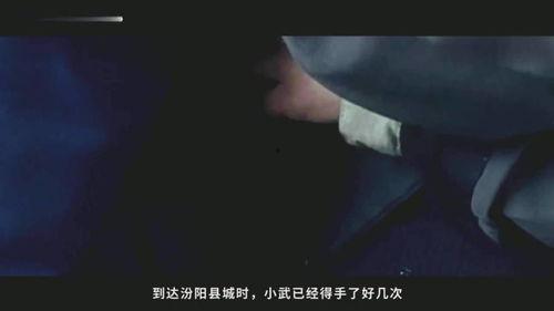 国产片在线播放,在线播放平台上的精彩呈现